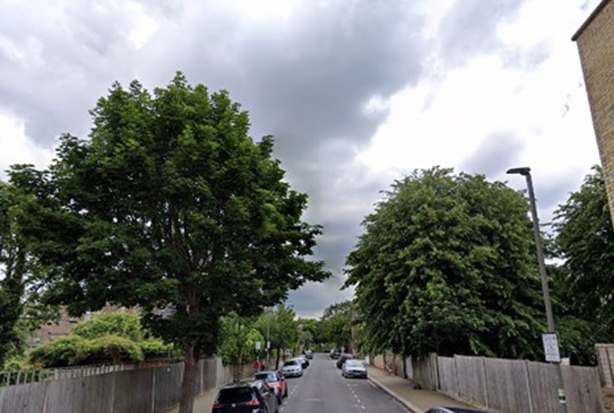 Fig. 94: Planting to rear gardens helps create a suburban feel