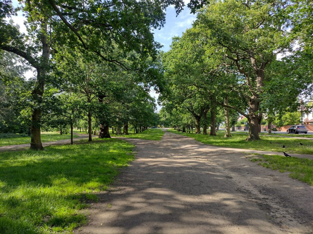 Fig. 1: Garrads Road Conservation Area