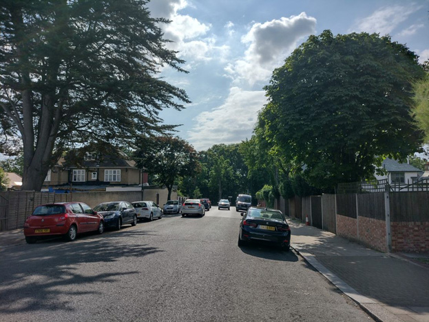 Fig. 5: Looking towards the tree cover of the common