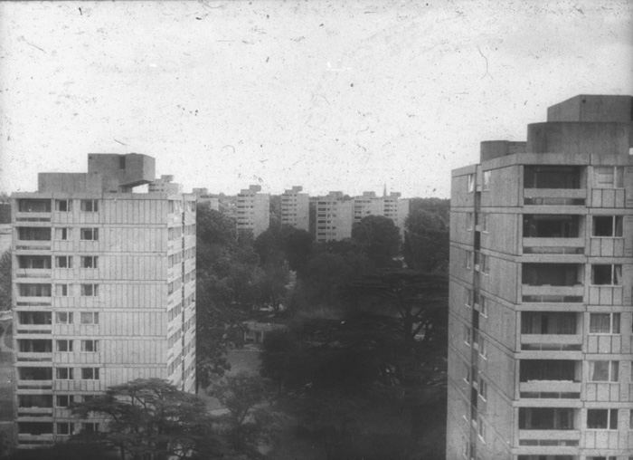 Fig. 19: A high shot of the two groups of point blocks showing the growth of trees