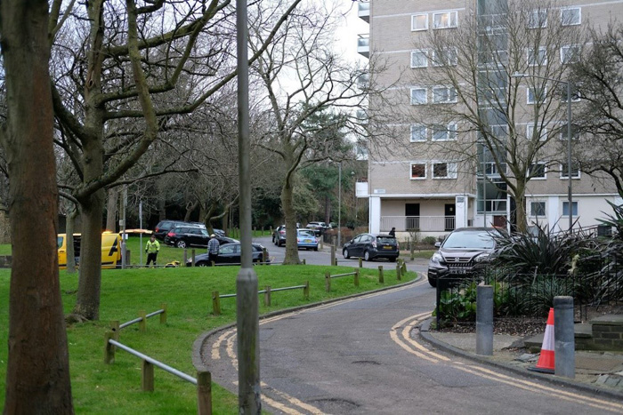 Fig. 31: The typical winding road which cuts through the remains of Victorian villa gardens with their mature trees