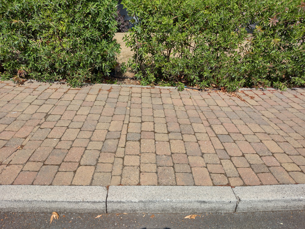 Fig. 106: Brick setts used throughout the area