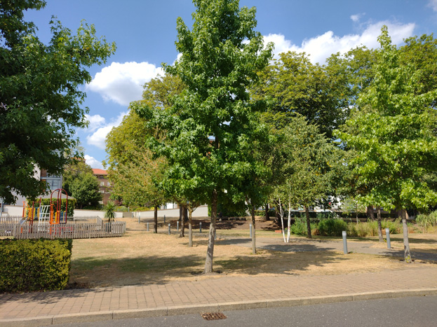 Fig. 98: The large communal garden at Whitelands Crescent contributes to the landscape character