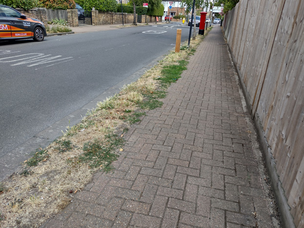 Fig. 75: More traditional verges still make a positive contribution to the streetscape and create visual separation between foot and vehicular traffic