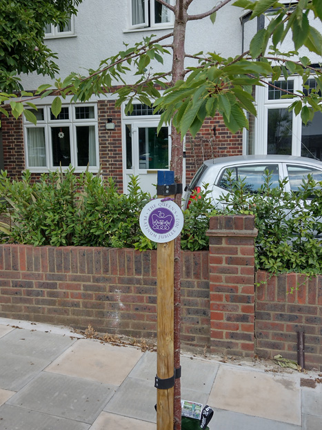 Fig. 73: Street trees are common, and their presence has recently been bolstered by new plantings celebrating the Diamond Jubilee