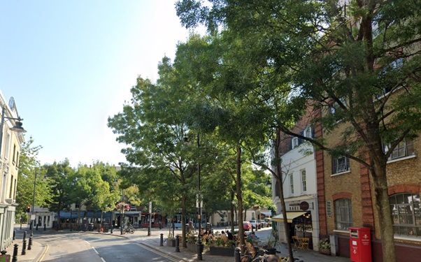 Fig: 87: Street trees are primary found in the Square