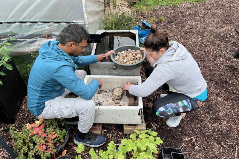 Climate microgrant applications open to community - Wandsworth Borough Council